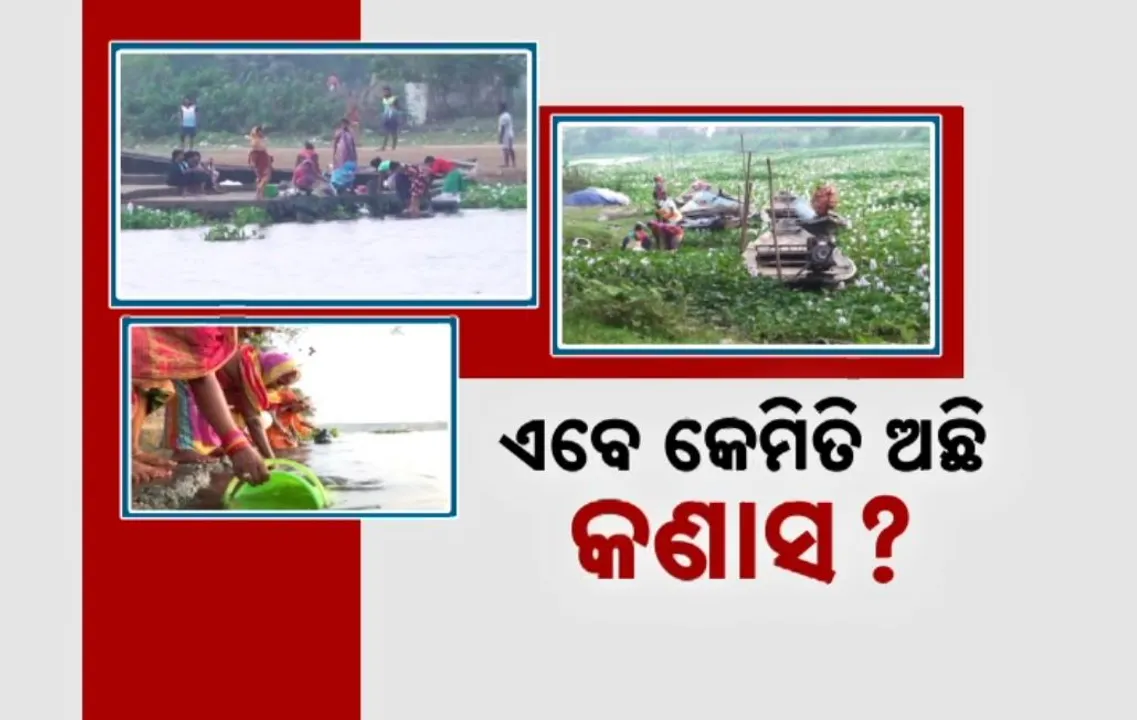 Photograph: (kanak news) 