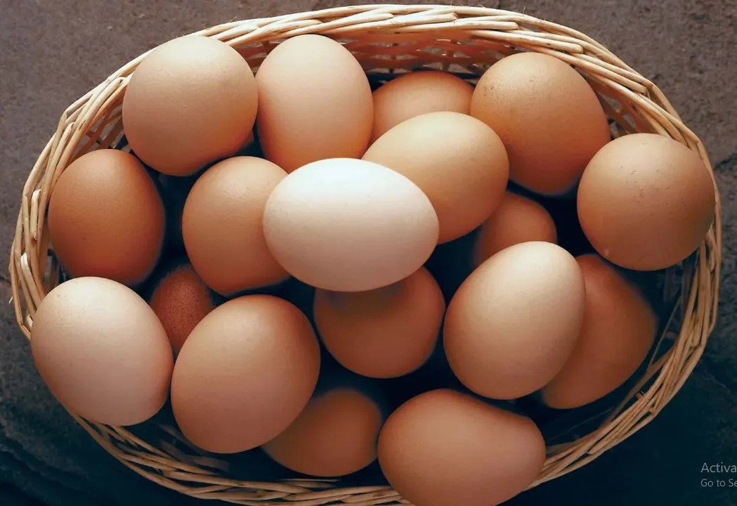  egg-+ Photograph: (KanakNews) 