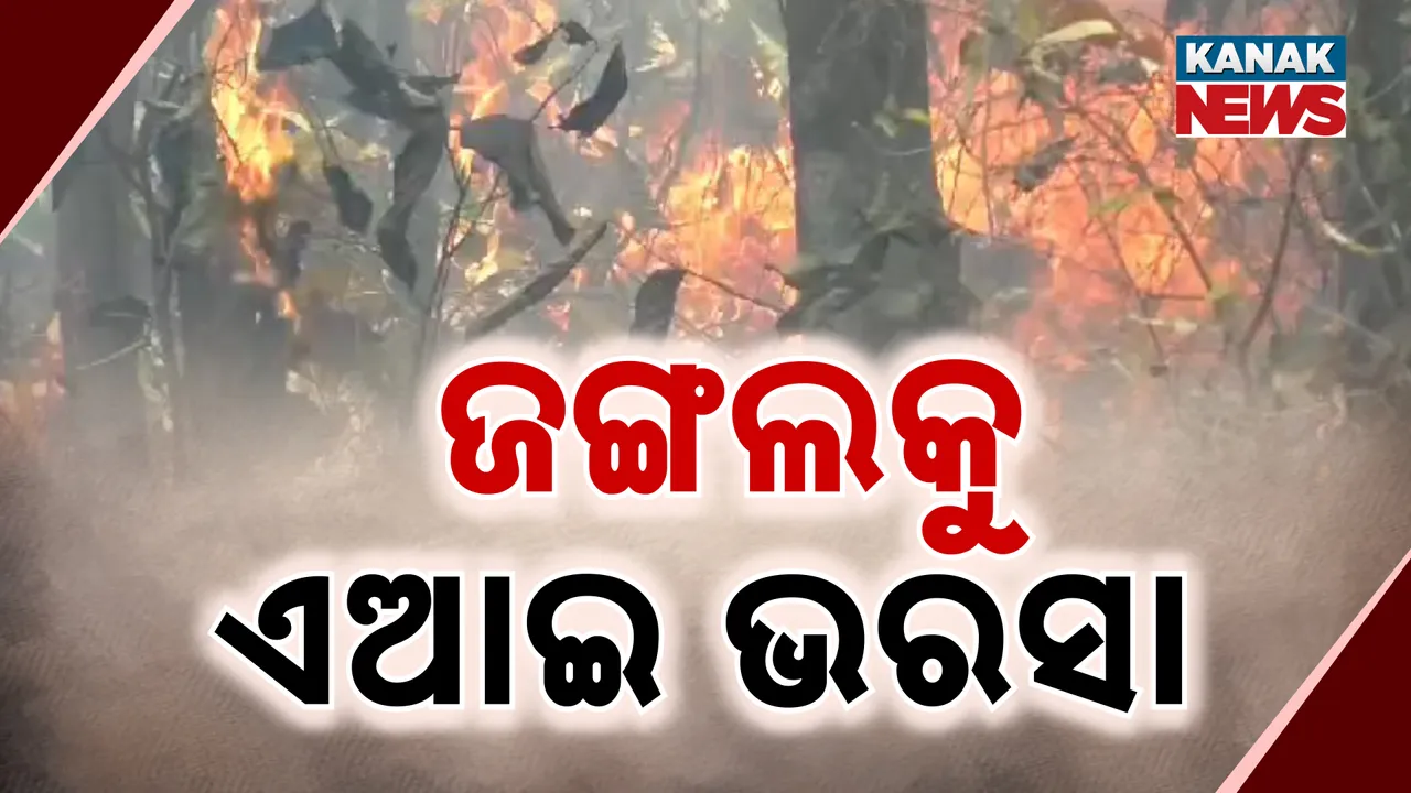  Photograph: (KANAK NEWS) 