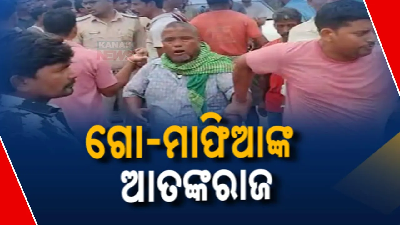  ଗୋରୁ ଚାଲାଣ ବେଳେ ଗୋ-ମାଫିଆଙ୍କ ଆତଙ୍କରାଜ୍ । ବିରୋଧ କରିବାରୁ ବନ୍ଧୁକ ଓ ଭୁଜାଲି ଦେଖାଇ କଲେ ଭୟଭୀତ
