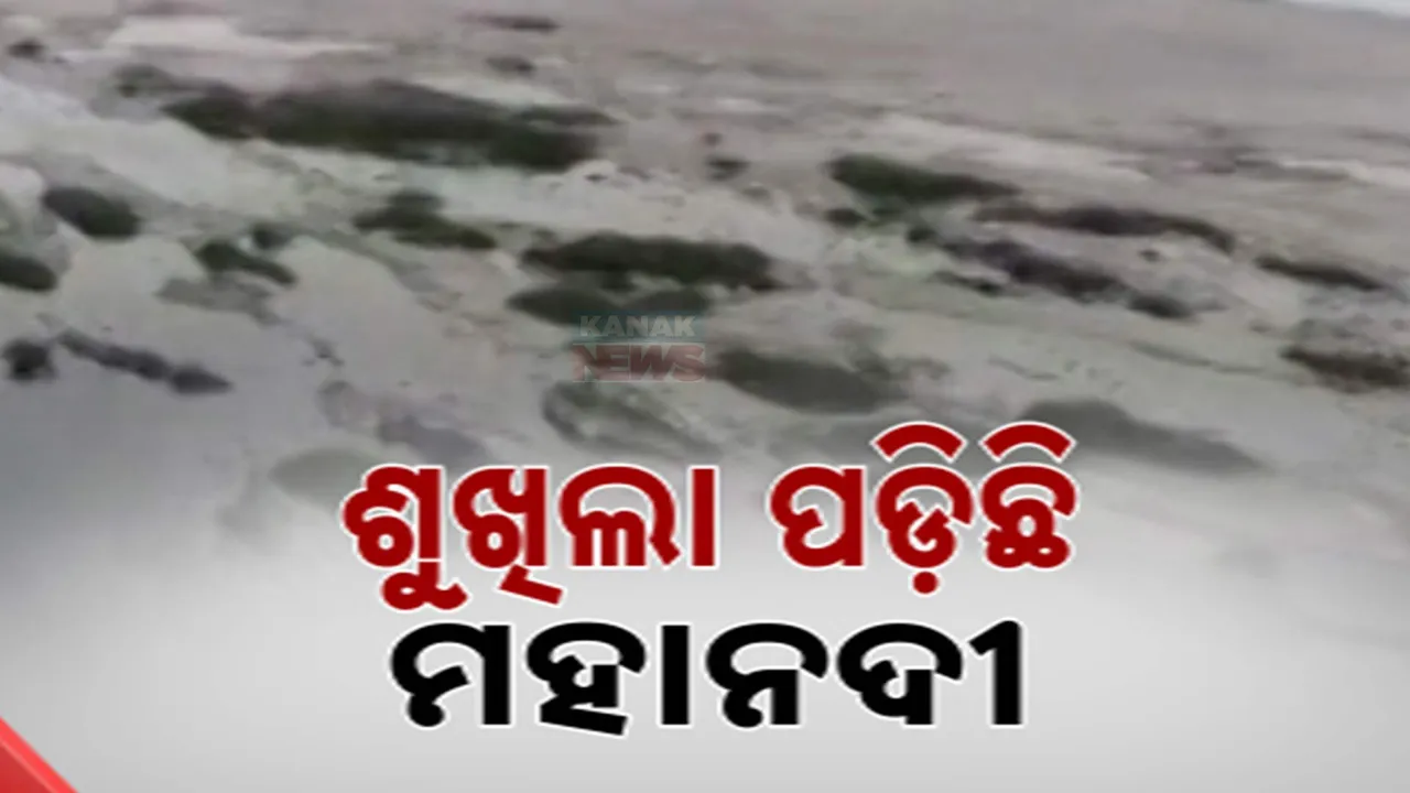 ସୁବର୍ଣ୍ଣପୁରରେ ମାଇଲ ମାଇଲ ପର୍ଯ୍ୟନ୍ତ ଶୁଖିଲା ପଡିଛି ମହାନଦୀ ପଠା, ଚିନ୍ତାରେ ଚାଷୀ ଓ ମତ୍ସ୍ୟଜୀବୀ