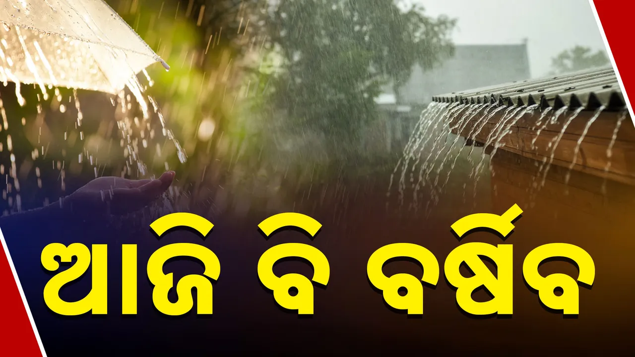  ଆଜି ବି ଲାଗିରହିବ ବର୍ଷା । ସକାଳ ୮.୩୦ ରୁ ଆଗାମୀ ୨୪ ଘଣ୍ଟା ପର୍ଯ୍ୟନ୍ତ ୧୫ ଜିଲ୍ଲାକୁ ୟେଲୋ ୱାର୍ଣ୍ଣିଂ