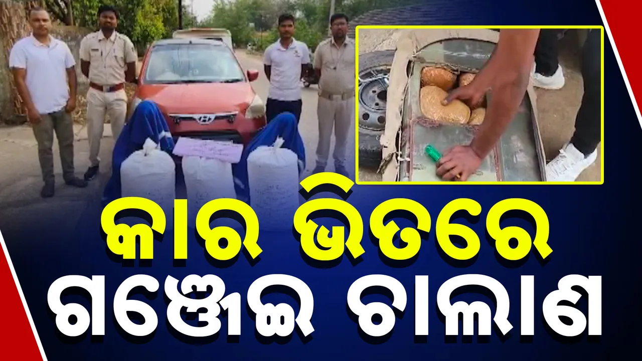  କାରର ସିକ୍ରେଟ ଚାମ୍ବର ଭିତରେ ଚଲାଣ ହେଉଥିଲା ଗଞ୍ଜେଇ, ମାଡି ବସିଲା ଅବକାରୀ ବିଭାଗର ସ୍ପେଶାଲ ସ୍କ୍ୱାର୍ଡ