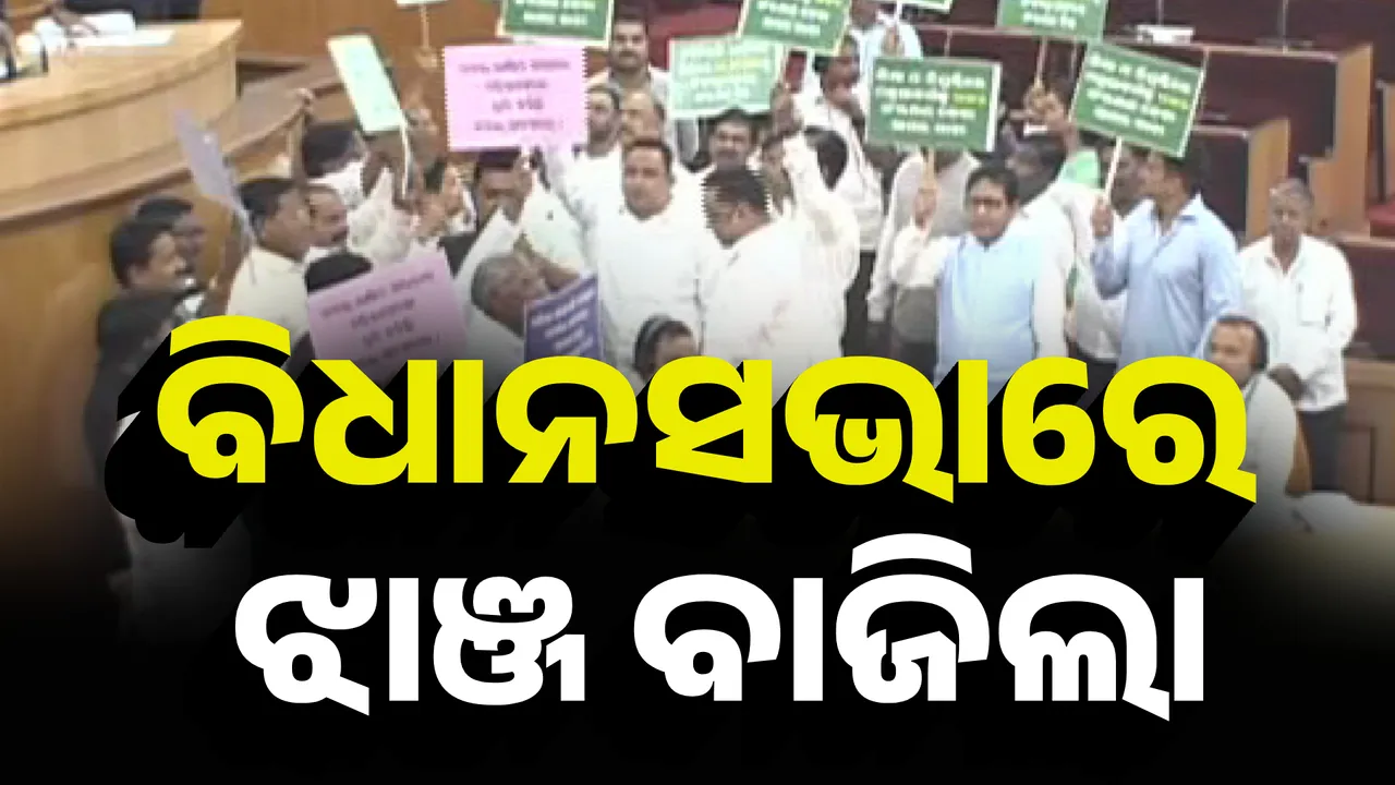  assembly Photograph: (Kanak News ) 
