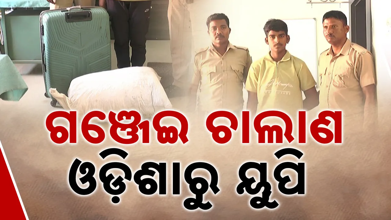  Photograph: (kanak news) 