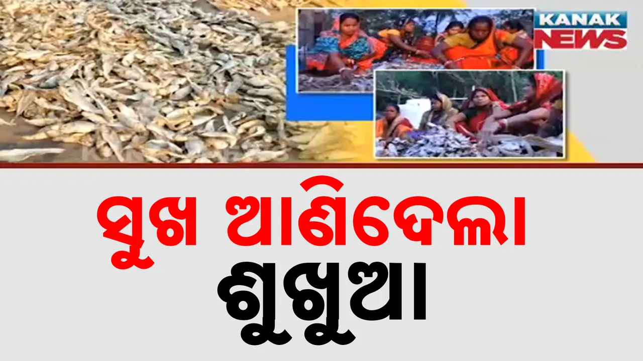  ଶୁଖୁଆ ଦେଇଛି ରୋଜଗାର, ଅନଲାଇନ ମାଧ୍ୟମରେ ସାରା ବିଶ୍ୱରେ ପହଂଚୁଛି ଶୁଖୁଆ, ରୋଜଗାରକ୍ଷମ ହେଉଛନ୍ତି ମହିଳା
