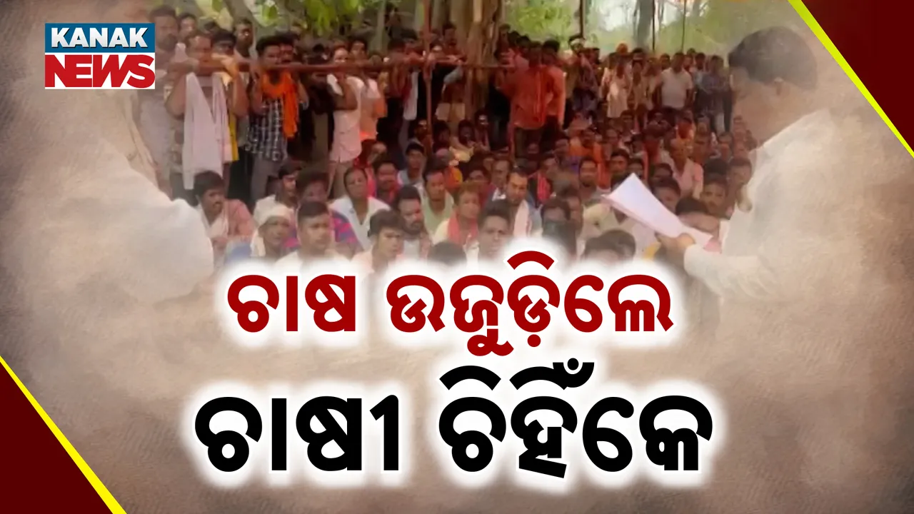 ଚାଷ ଉଜୁଡ଼ିଲେ ଚାଷୀ ଚିହିଁକେ  Photograph: (KanakNews ) 