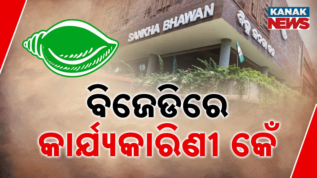  ନବୀନ ନବମ ଥର ସଭାପତି ହେବାକୁ ପୂରିଲାଣି ୩୬ ଘଣ୍ଟା । ଏଯାଏଁ ସ୍ପଷ୍ଟ ହେଉନି ରାଜ୍ୟ କାର୍ଯ୍ୟକାରିଣୀ ଓ ରାଜ୍ୟ ପରିଷଦର ଚିତ୍ର