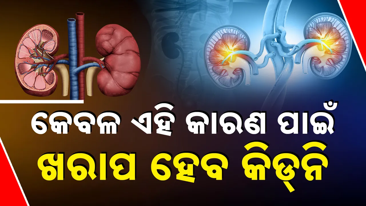  Kidney  Photograph: (kanak News) 