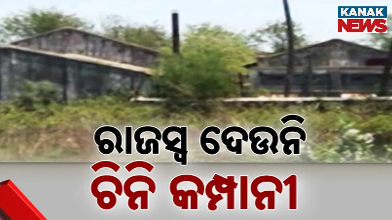  Photograph: (KANAK NEWS) 