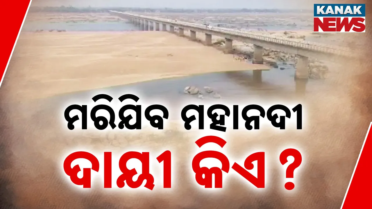   ମହାନଦୀ ଡ୍ରାଏ ଆଟ୍ ଶୁଖାଷୋଢ଼ା  Photograph: (kanakNews) 