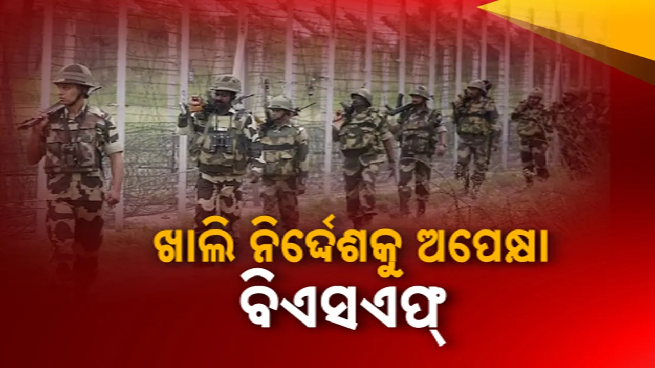  ଖାଲି ନିର୍ଦ୍ଦେଶକୁ ଅପେକ୍ଷା: ବିଏସଏଫ୍‌  Photograph: (kanak news) 
