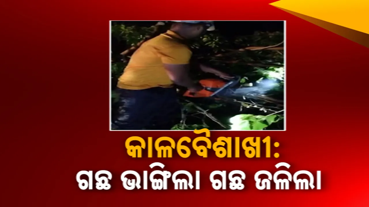   କାଳବୈଶାଖୀ: ଗଛ ଭାଙ୍ଗିଲା, ଗଛ ଜଳିଲା  Photograph: (kanakNews) 