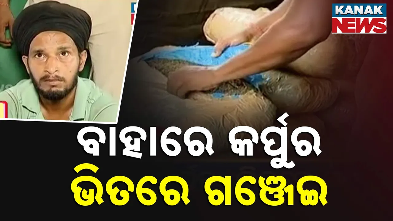  ରାଜଧାନୀରୁ କୋଟିଏ ଟଙ୍କାର ଗଞ୍ଜେଇ ଜବତ  Photograph: (kanakNews) 
