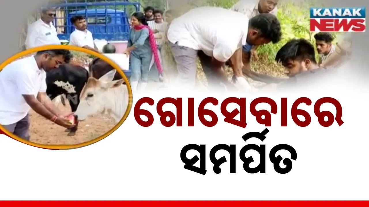  ଗୋସେବା ପରମ ଧର୍ମ  Photograph: (kanakNews) 