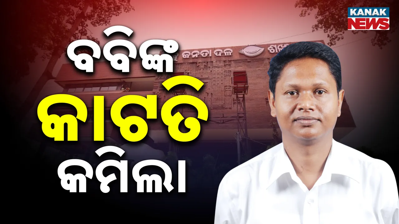  ବବିଙ୍କ କାଟତି କମିଲା  Photograph: (kanakNews) 