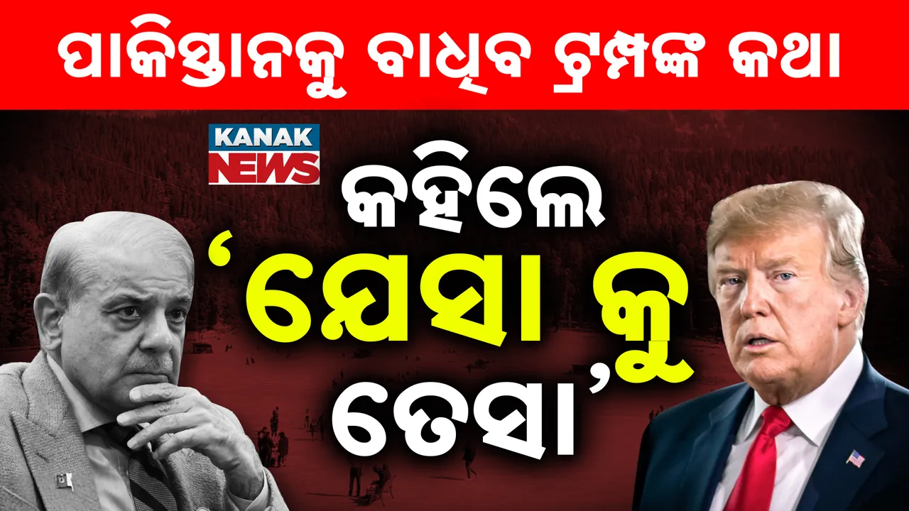 ଟିଟ୍‌ ଫର୍‌  ଟ୍ୟାଟ୍‌  Photograph: (kanaknews) 