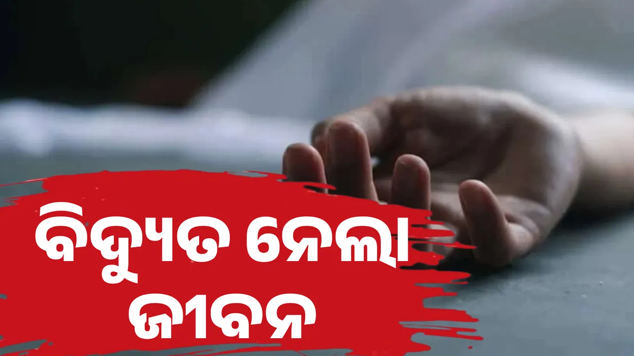 ବିଦ୍ୟୁତ ନେଲା ଜୀବନ  Photograph: (kanak news) 