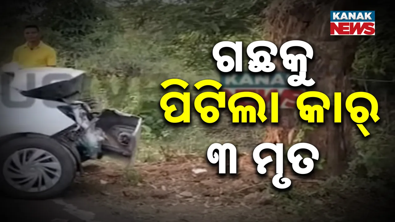  ଗଛରେ ପିଟିହେଲା ଗାଡ଼ି Photograph: (kanak news) 