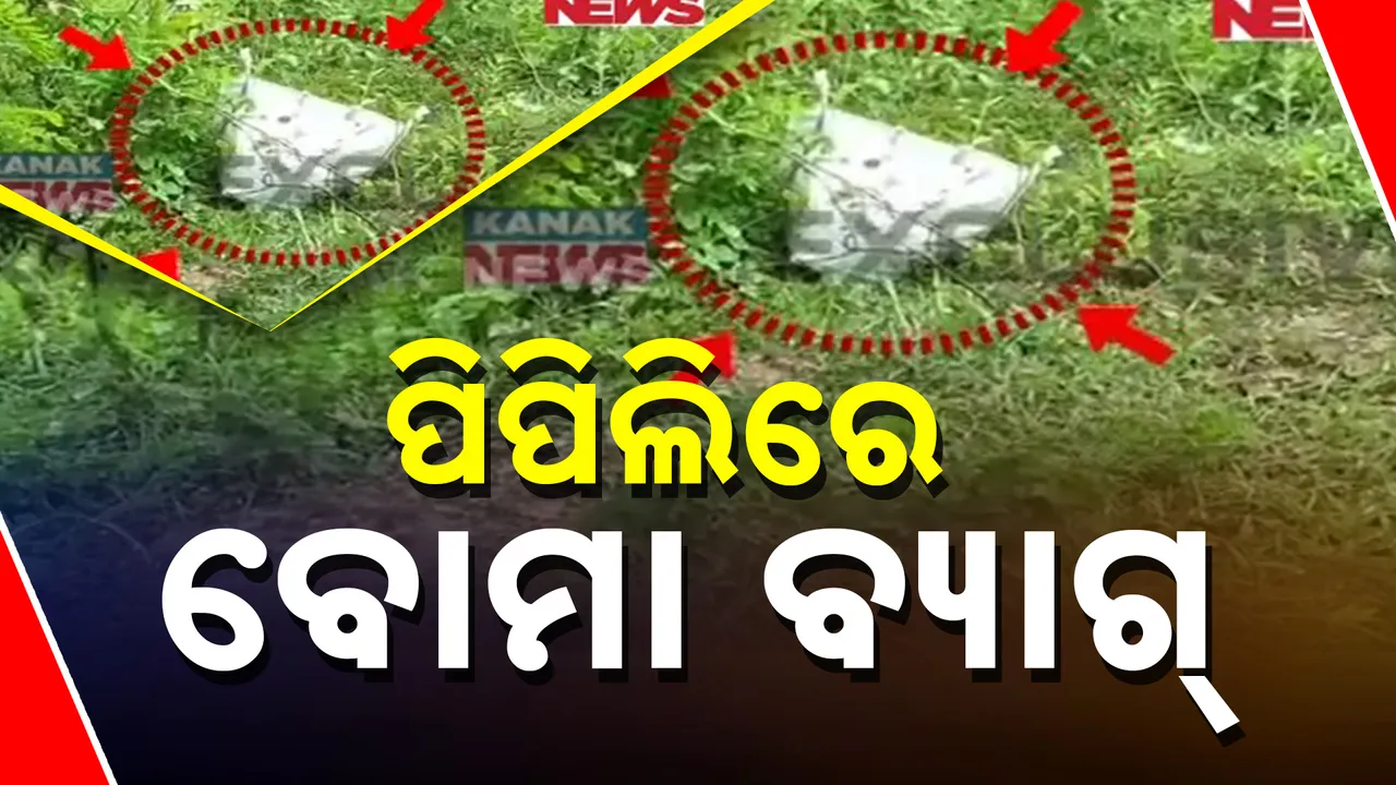  ପିପିଲିରେ ବୋମା ବ୍ୟାଗ୍ Photograph: (kanaknews) 