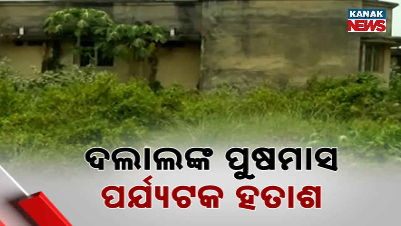  Photograph: (kanak news) 