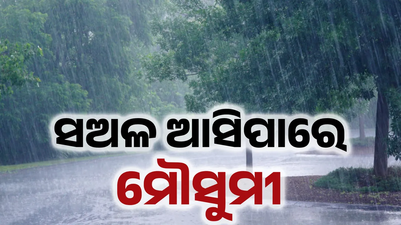  ଠିକ୍‌ ସମୟରେ ମୌସୁମୀ ଆସୁନି, ଚାଷ ଓ ଚାଷୀ ଉପରେ ପଡୁଛି ପ୍ରଭାବ