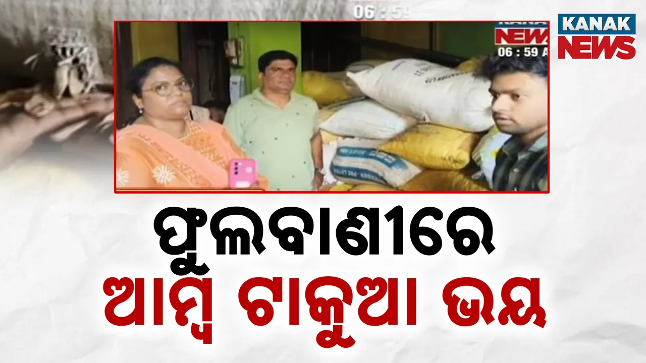  ଫୁଲବାଣୀ ଲକ୍ଷ୍ମୀବଜାରରୁ ଜବତ ହେଲା ୪୮ ବସ୍ତା ଆମ୍ବ ଟାକୁଆ, ଗୋଦାମ ମାଲିକଙ୍କ ଠାରୁ ୨୫ ହଜାର ଟଙ୍କା ଜରିମାନା ଆଦାୟ