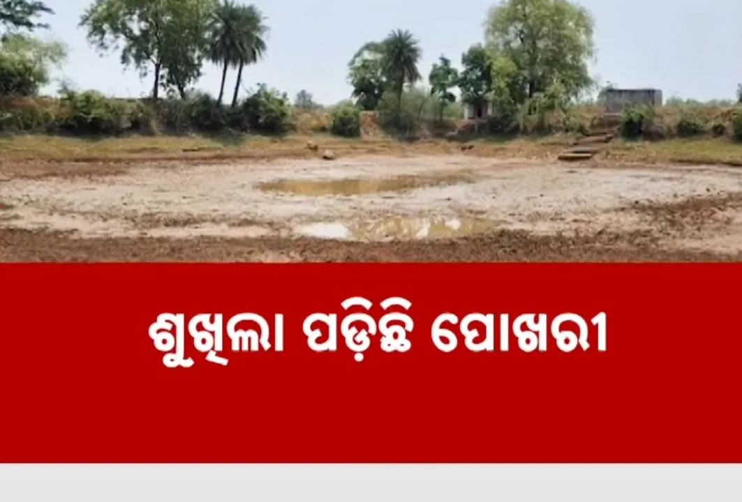  Photograph: (kanak news) 