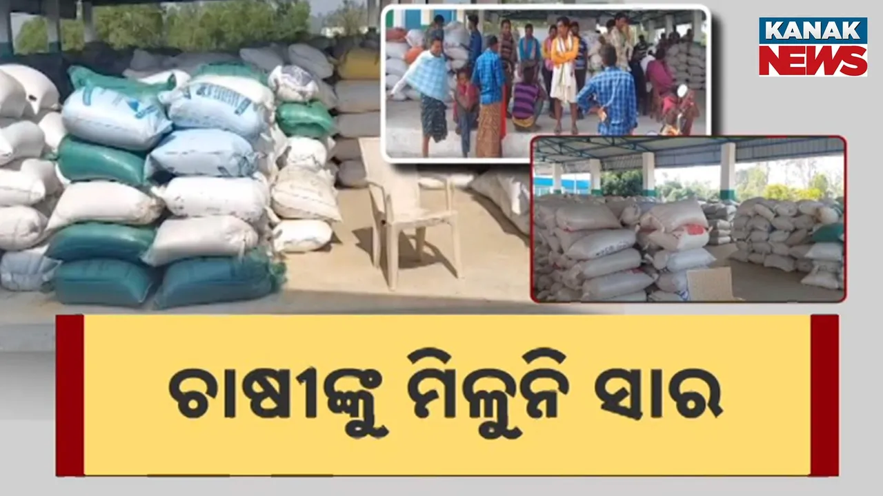  ଚାଷୀଙ୍କୁ ମିଳୁନି ସାର Photograph: (KANAK NEWS) 