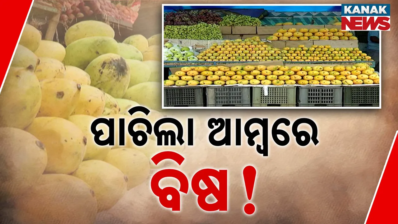  ପାଚିଲା ଆମ୍ବରେ ବିଷ! Photograph: (KANAK NEWS) 