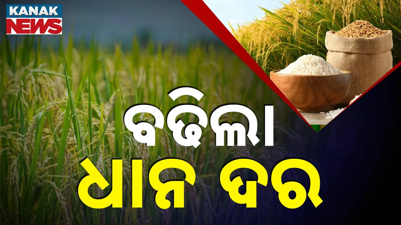  ଖରିଫ୍ ଋତୁ ପୂର୍ବରୁ ଚାଷୀଙ୍କୁ ଉପହାର, ବଢିଲା ଧାନ ଦର, କୃଷି ଋଣ ଉପରେ ବଡ଼ ଘୋଷଣା