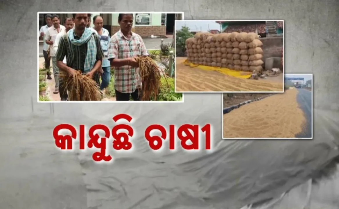 Photograph: (kanak news) 