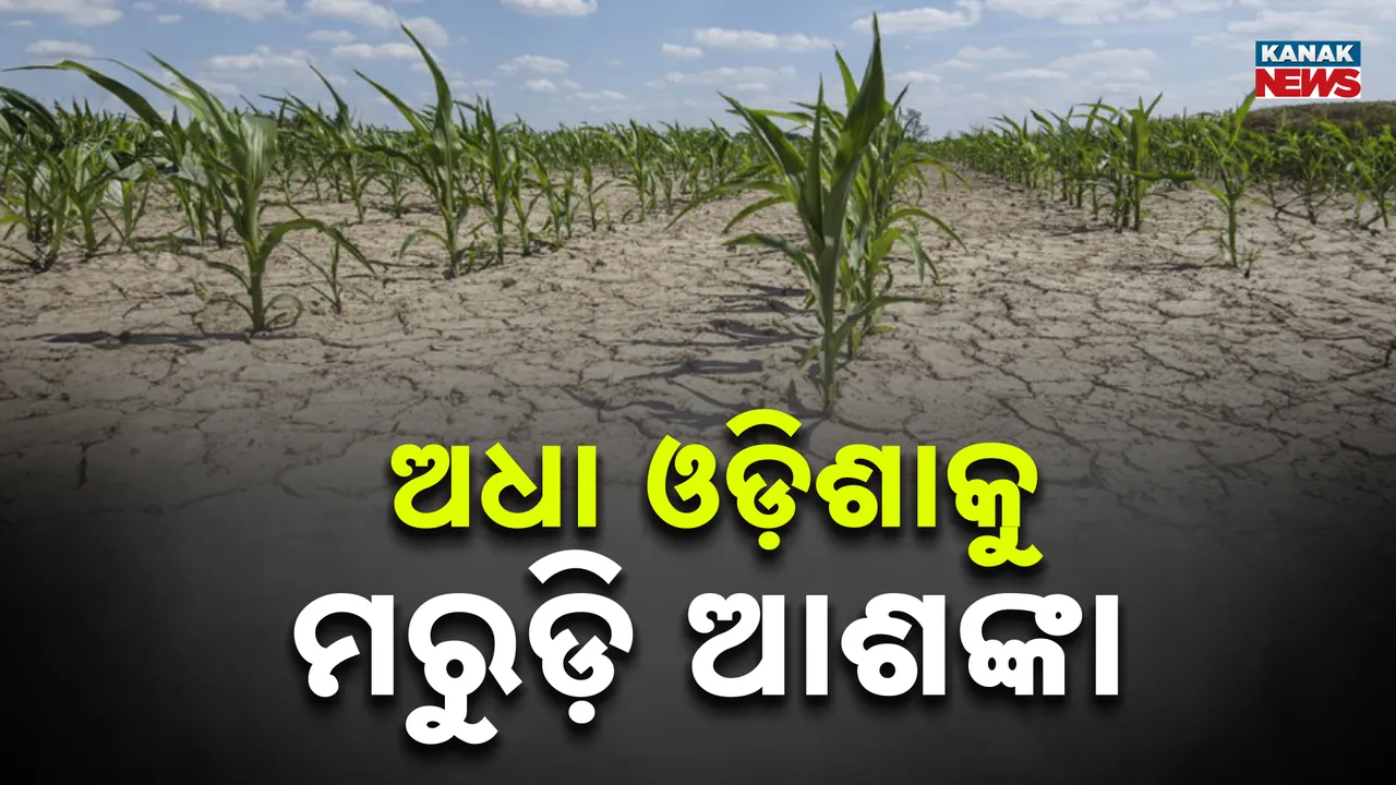  Photograph: (KANAK NEWS) 
