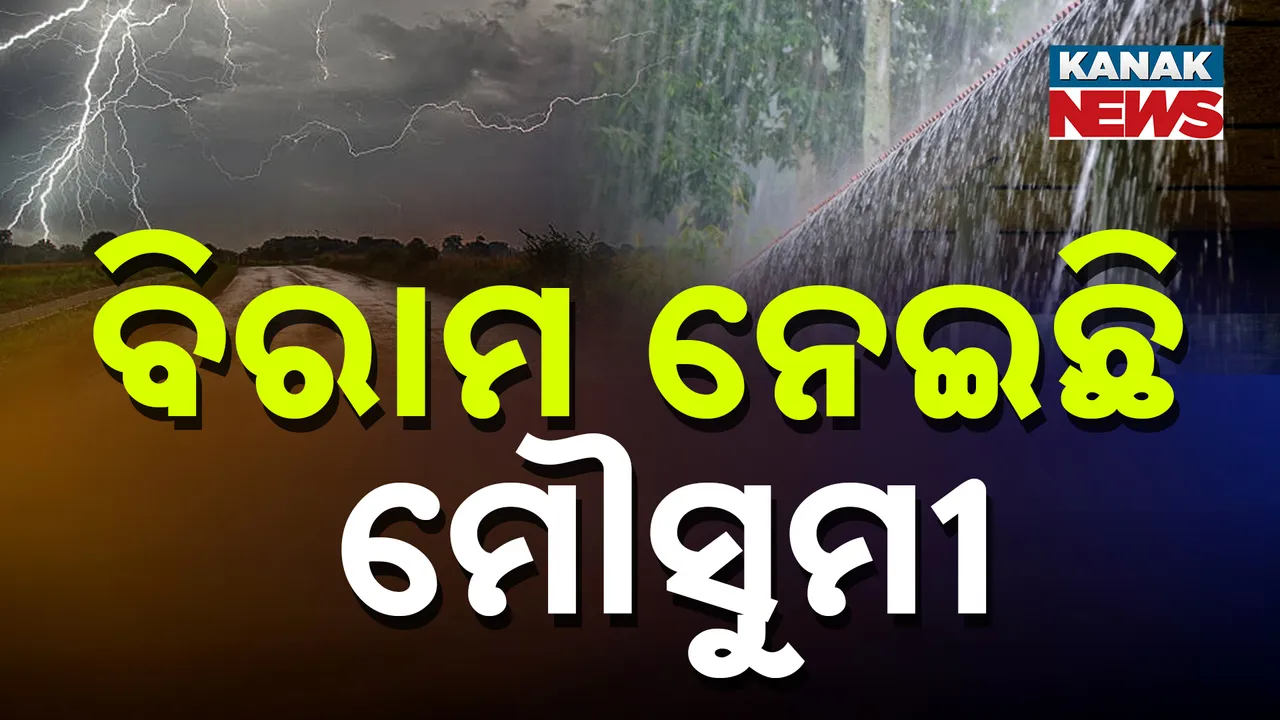  ମୌସୁମୀ ଛୁଇଁଲା, ବର୍ଷା ଉଭାନ Photograph: (kanaknews) 