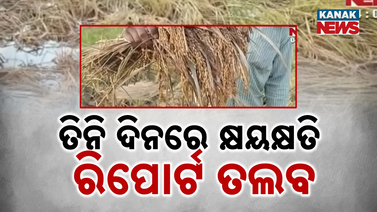  ତିନି ଦିନରେ କ୍ଷୟକ୍ଷତି ରିପୋର୍ଟ ତଲବ Photograph: (kanaknews) 