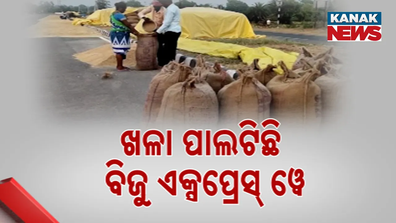  Photograph: (kanak news) 