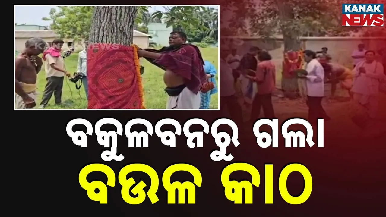  ଶ୍ରୀଜିଉଙ୍କ ଶ୍ରୀଅଙ୍ଗ ସୁରକ୍ଷା ପାଇଁ ବକୁଳ ବନରୁ ଶ୍ରୀକ୍ଷେତ୍ର ଗଲା ବଉଳ କାଠ