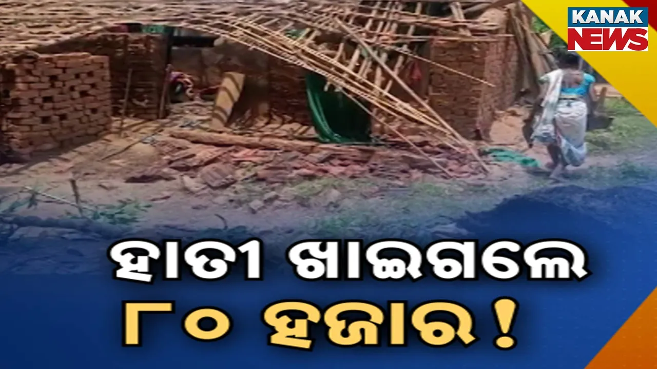  ରାୟଗଡ଼ା ନିୟମଗିରି ଅଞ୍ଚଳରେ ହାତୀ ଆତଙ୍କ, ରାତି ହେଲେ ଉତ୍ପାତ କରୁଛନ୍ତି ହାତୀପଲ, ମାଣ୍ଡିଆ ଭିତରେ ଥିବା ୮୦ ହଜାର ଟଙ୍କା ଖାଇଗଲେ ହାତୀ