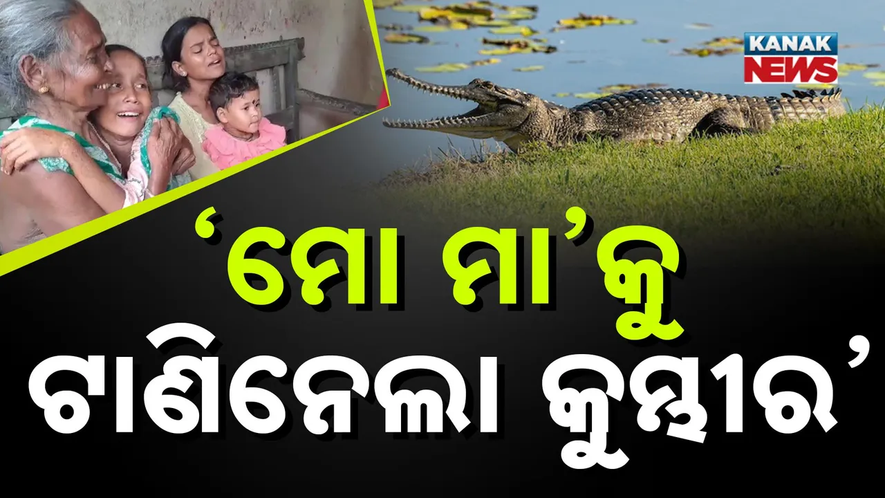  Photograph: (kanak news) 