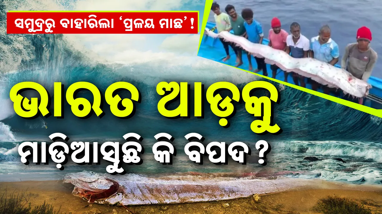  Doomsday Fish Photograph: (kanakNews) 