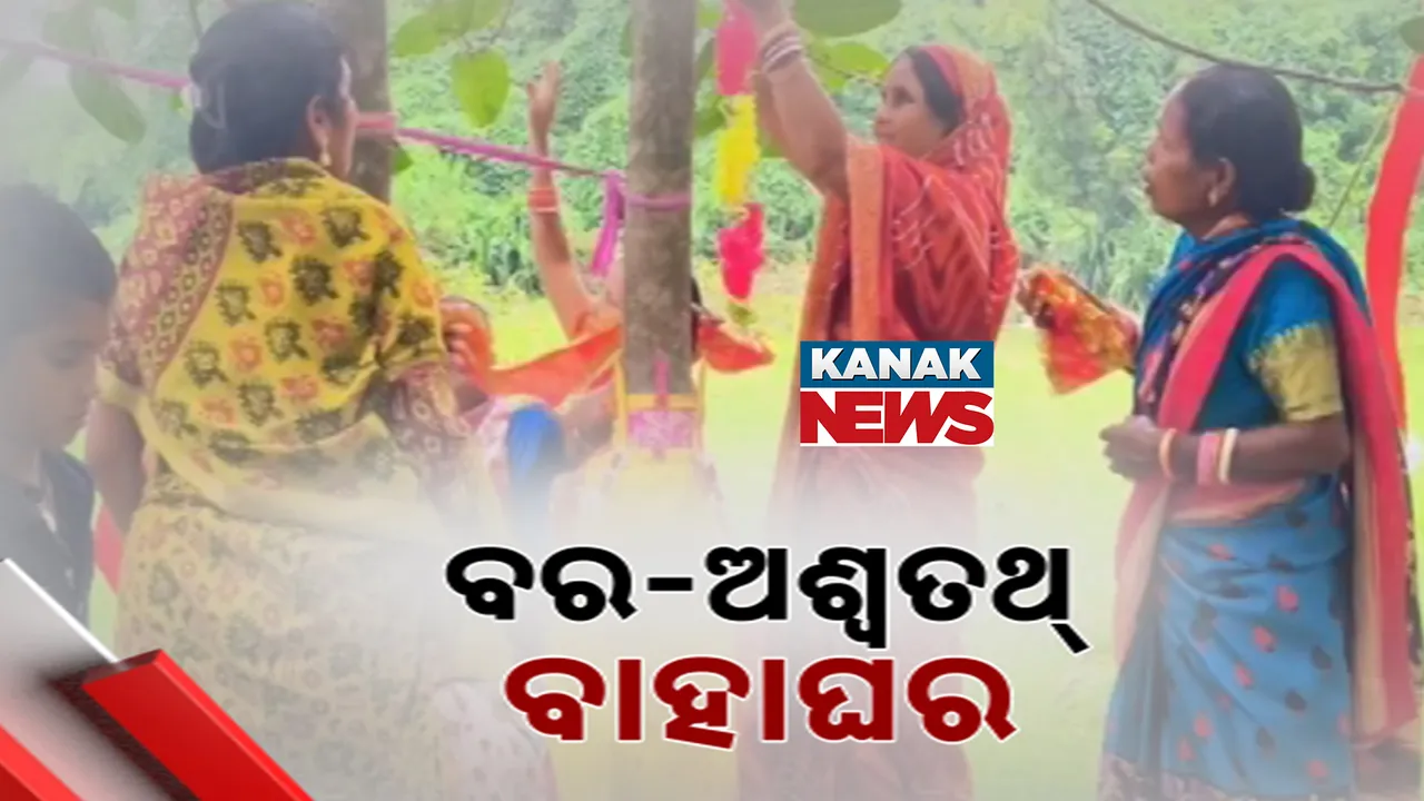  ବର-ଅଶ୍ବତଥ୍ ବାହାଘର Photograph: (KanakNews) 