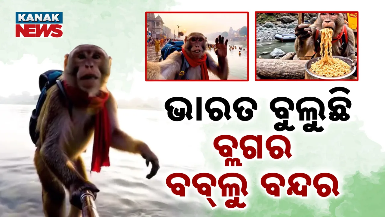  ବ୍ଲଗର ବବ୍‌ଲୁ ବନ୍ଦର Photograph: (KanakNews) 