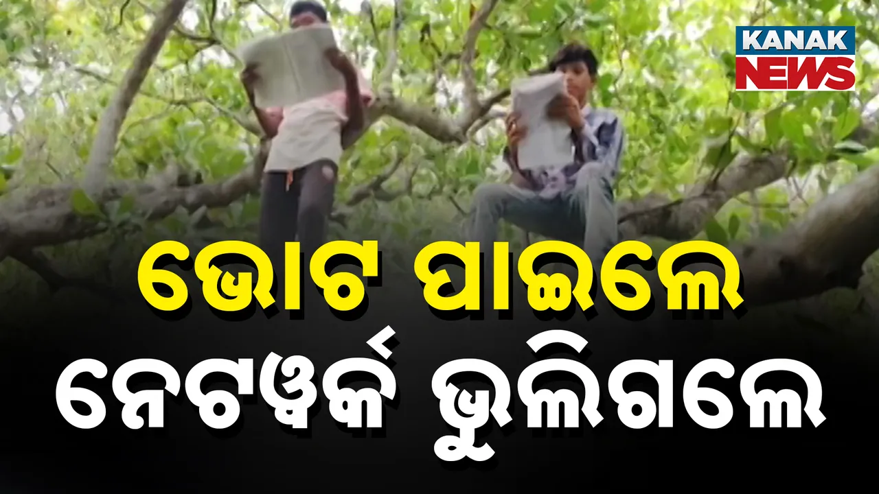  ଗଛ ଉପରେ ନେଟ୍‌ୱର୍କ Photograph: (kanakNews) 