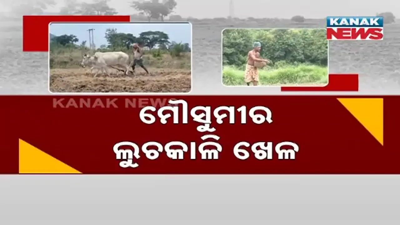  ମୌସୁମୀର ଲୁଚକାଳି ଖେଳ, ଗଞ୍ଜାମରେ ଚାଷୀ ପାଇଁ କାଳ