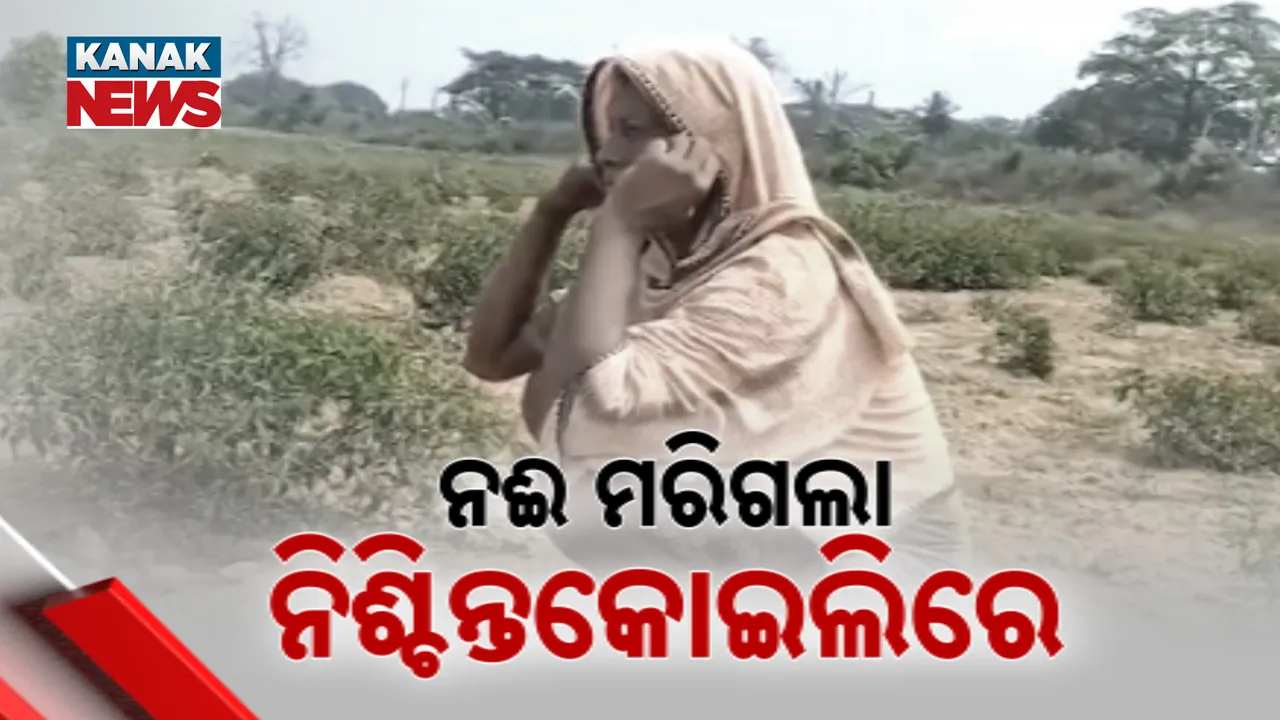 ଶୁଖିଯାଉଛି ଚିତ୍ରୋତ୍ପଳା: ଚିନ୍ତାରେ ନଈକୂଳିଆ ଲୋକେ, ପଡ଼ିଆ ପଡୁଛି ଚାଷଜମି
