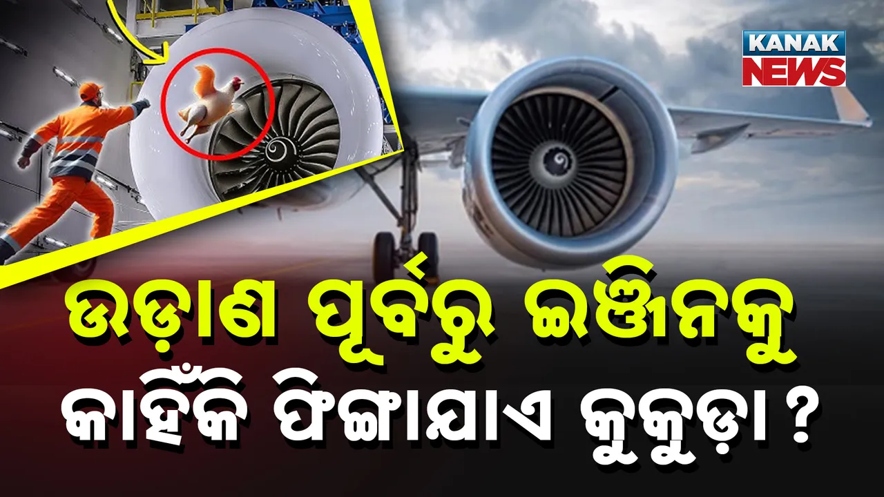  kanak news 