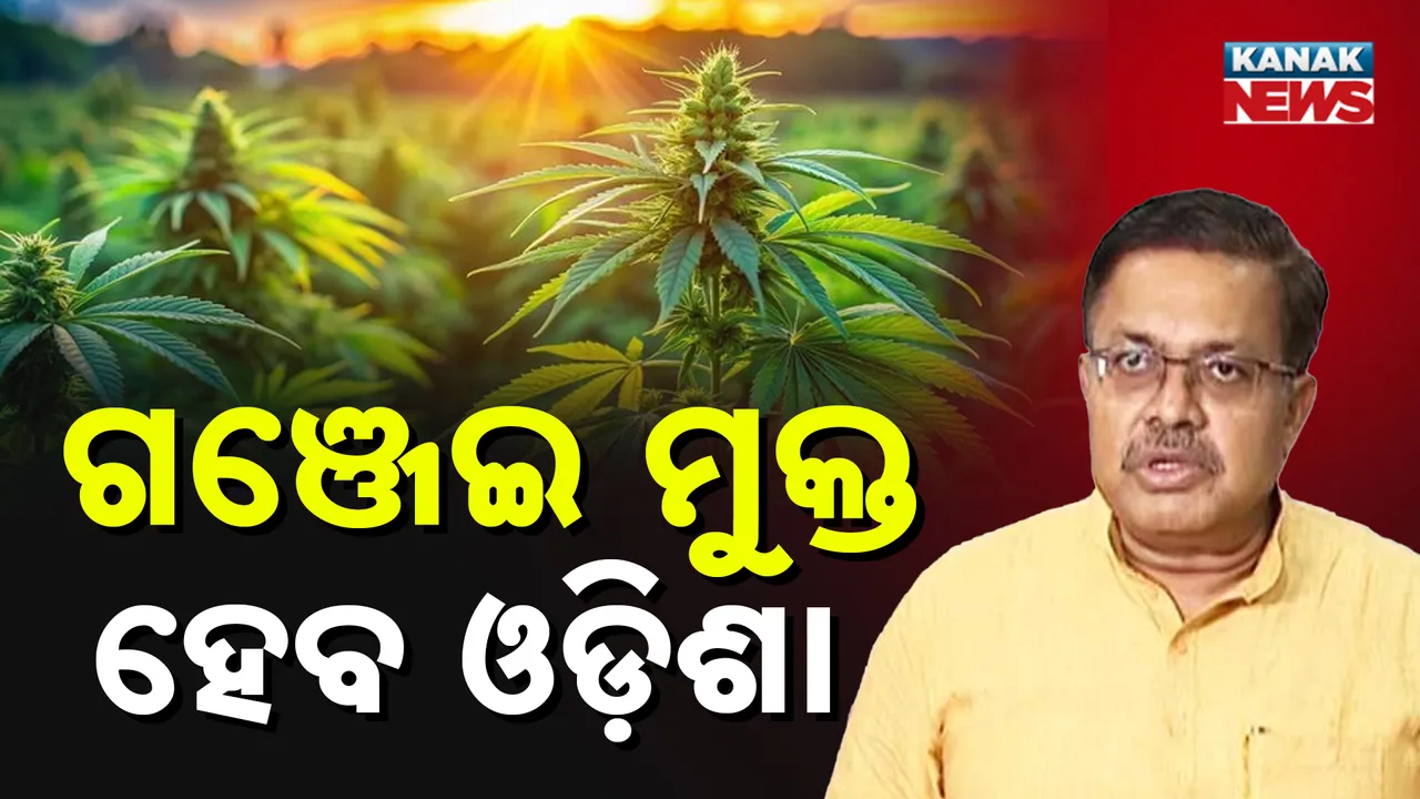  ଗଞ୍ଜେଇ ମୁକ୍ତ ହେବ ଓଡ଼ିଶା ; ଆଇନମନ୍ତ୍ରୀଙ୍କ ପ୍ରତିକ୍ରିୟା
