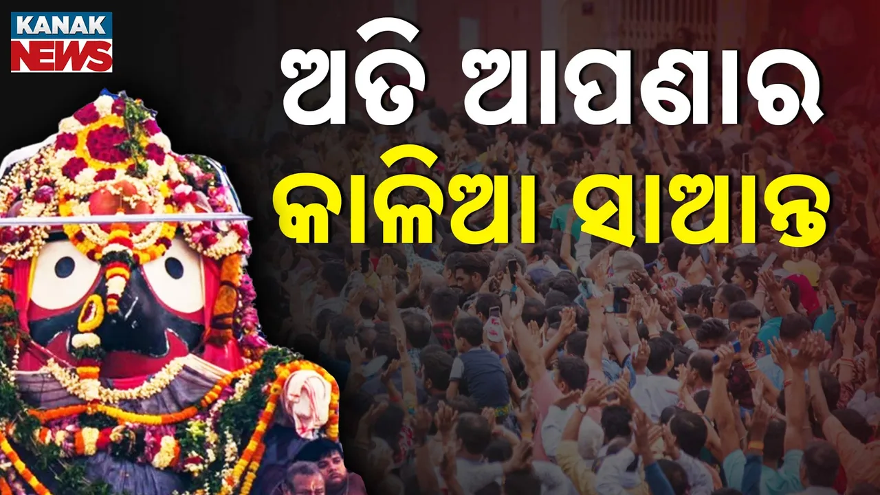  ଅତି ଆପଣାର କାଳିଆ ସାଆନ୍ତ , ସବୁବେଳେ ସେ ହିଁ ତ ଭକ୍ତର ଦୁଃଖ ବୁଝନ୍ତି ।