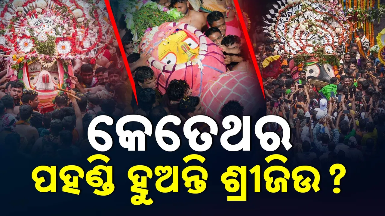  କେତେଥର ପହଣ୍ଡି ହୁଅନ୍ତି ଶ୍ରୀଜିଉ ? ପହଣ୍ଡି କେତେ ପ୍ରକାର ଜାଣନ୍ତୁ