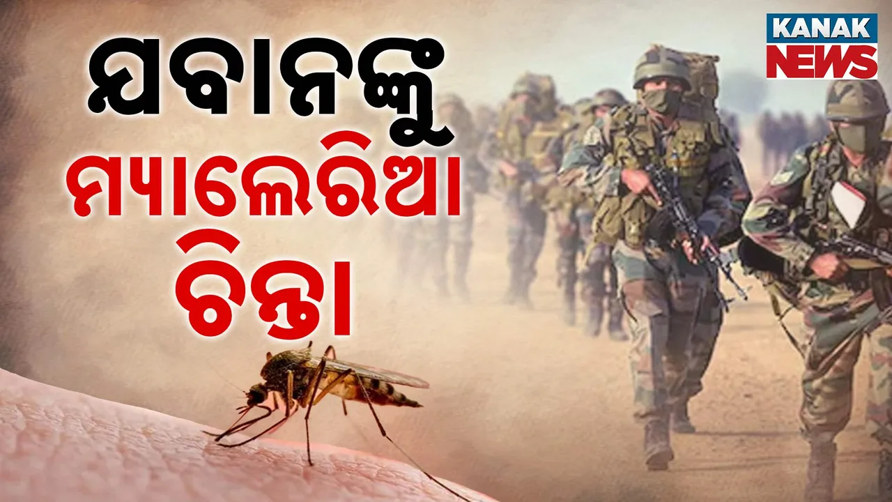  Jawan Photograph: (kanakNews) 